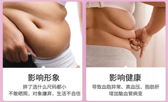 怎么样快速减肥不反弹 