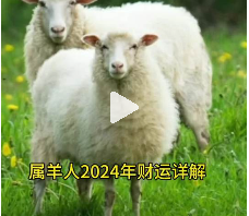 属羊的人在 2024 年可以通过以下方法避免破财： 