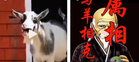 属羊的和什么属相最配、相克 